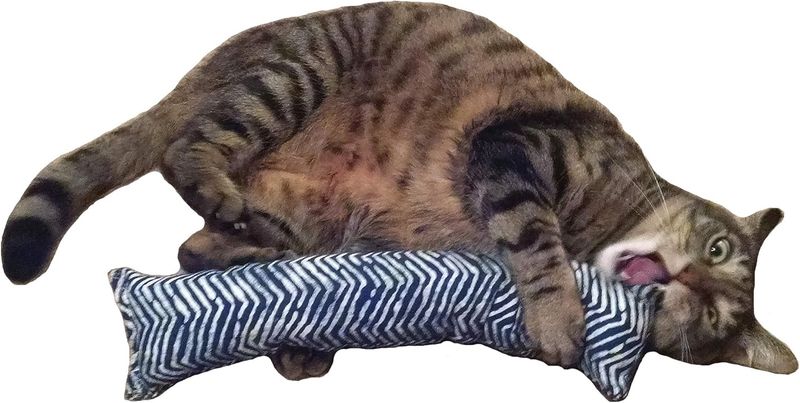 Catnip-Filled Kicker Toys