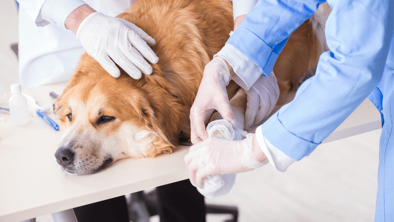Traumatic Injuries