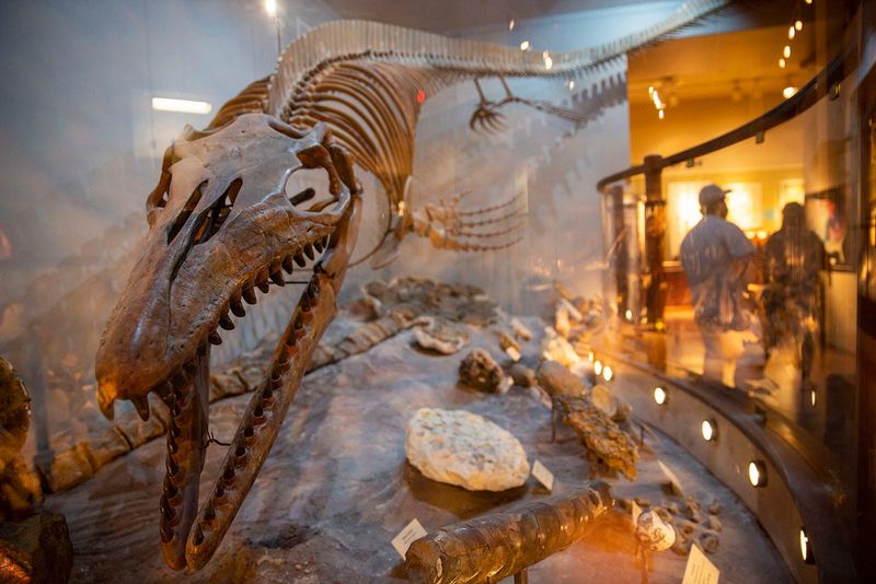 From Ancient Seas To Public Display