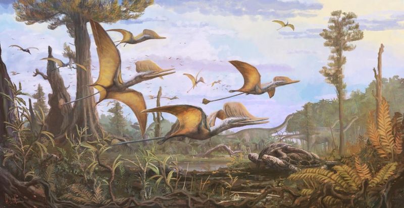 What Dearc Likely Ate In Its Coastal Lagoon Habitat