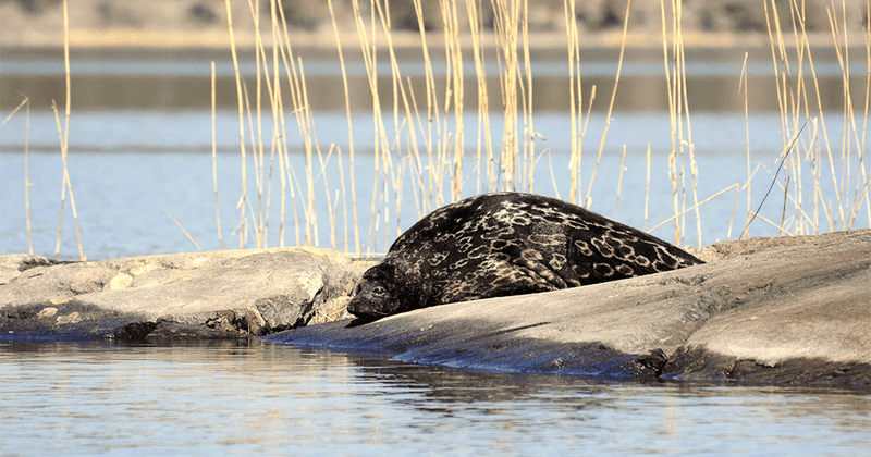 Thousands Of Lakes And Rivers To Navigate