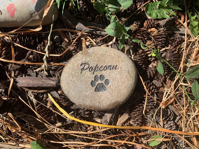 Daily Reminders Complicate Grief Recovery