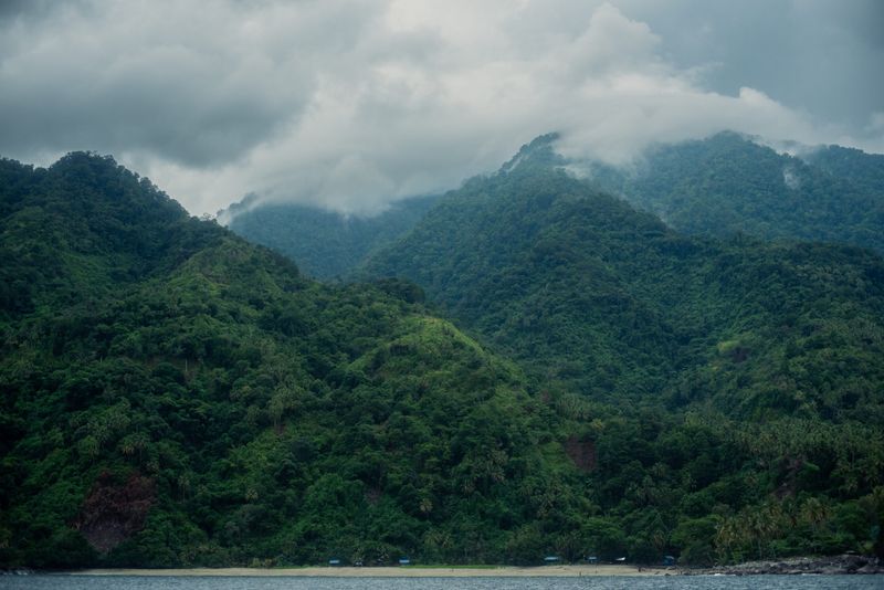 Where The Long-Beaked Echidna Was Found In Indonesia