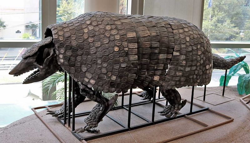 Armored Giants: Pampatheres Were Super-Armadillos