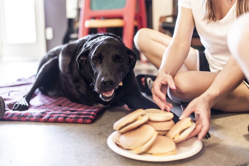 Prepare Their Favorite Meal