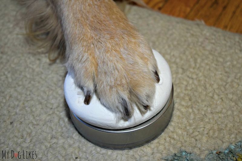 Create Pawprint Art