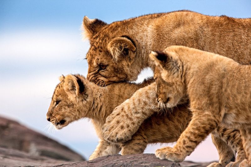 Playtime With Purpose