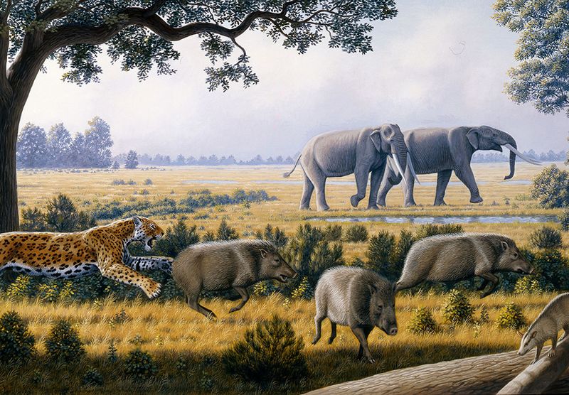 What Florida Looked Like When Mammoths Roamed The Land