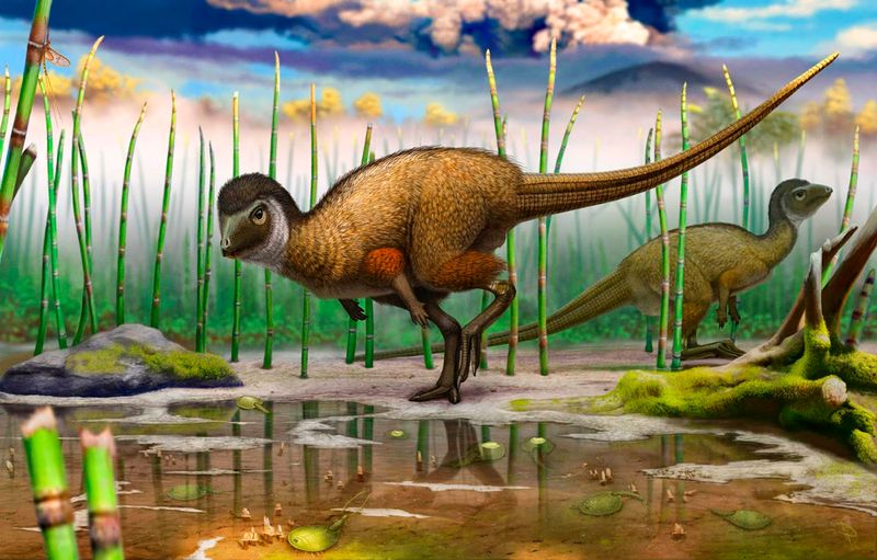 Feathers In Non-Theropod Dinosaurs