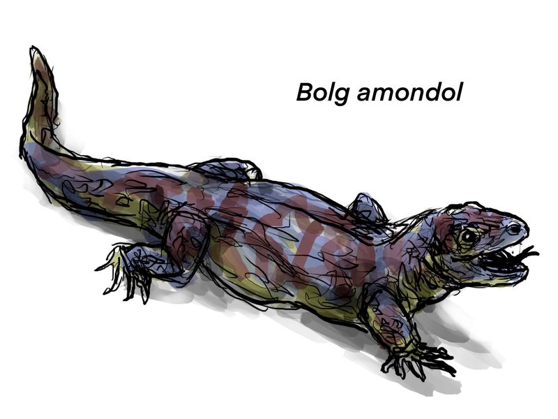 The Significance Of Bolg Amondol In Understanding Utah's Ancient Ecosystems