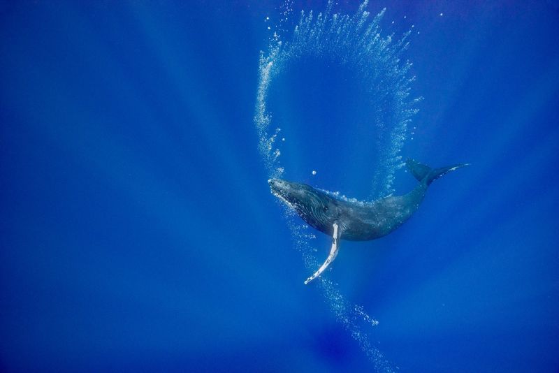 It Starts With A Deep Dive