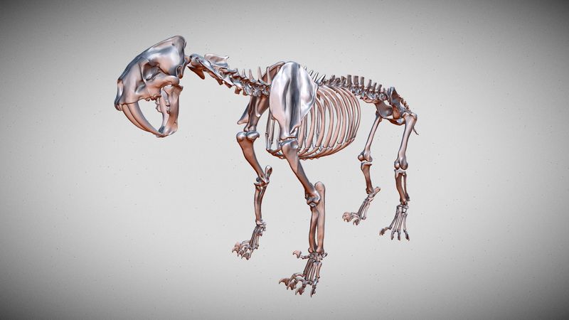 Unveiling The Anatomy Of A Leopard-Sized Predator Using Digital Technology