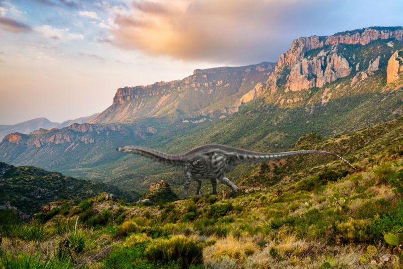 Big Bend National Park: A Hotspot For Dinosaur Discoveries