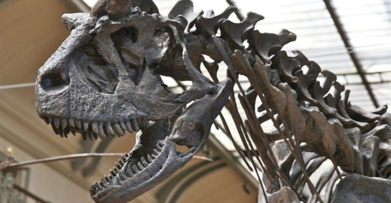 How Scientists Responded To The First Dinosaur Descriptions