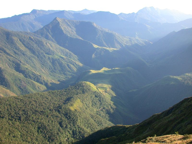 Challenges Of Studying Wildlife In Remote Regions