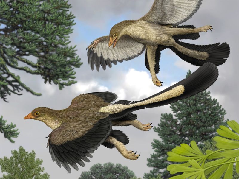 The Evolutionary Link Between Birds And Dinosaurs