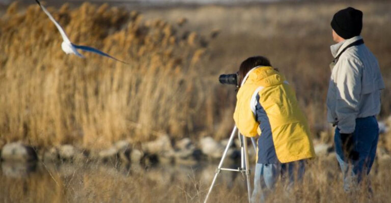 How To Become A Birder: 14 Easy Ways To Start This Life-Changing Hobby