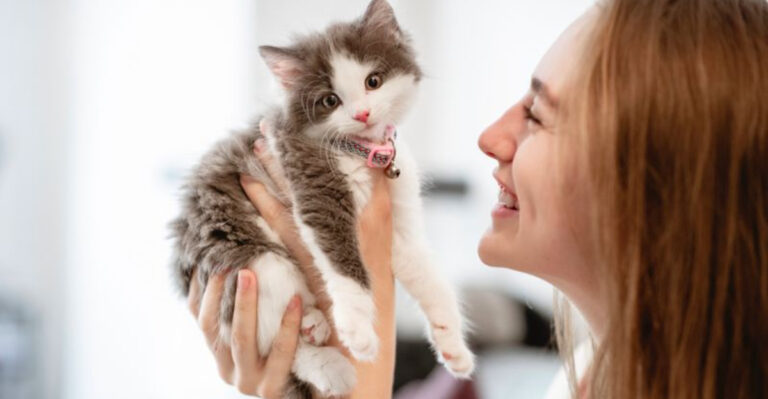 How To Raise A Confident, Well-Adjusted Cat