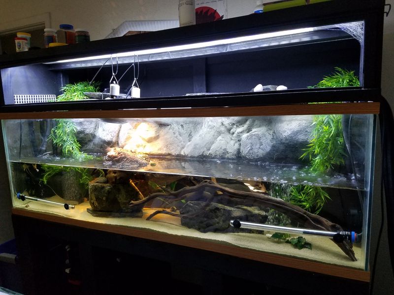 Tank Size Matters