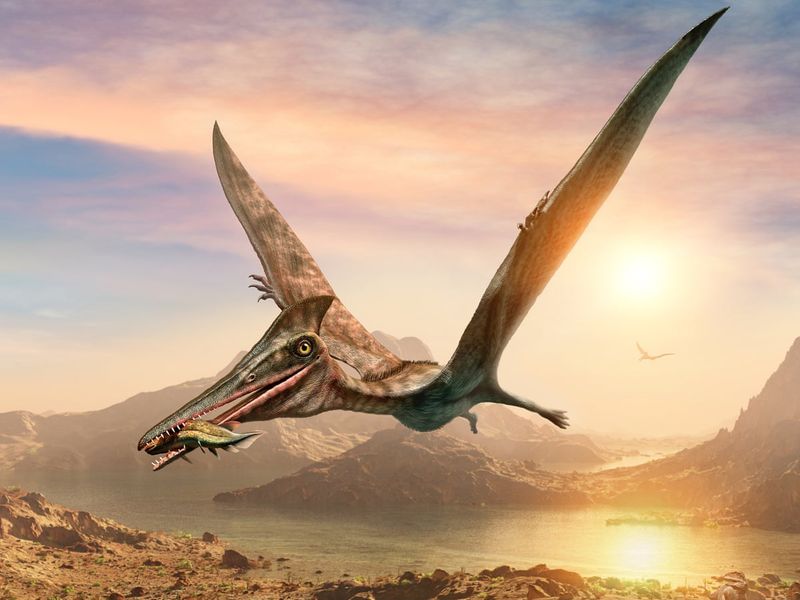 Why This Pterosaur Is Now One Of Scotland's Most Important Fossils