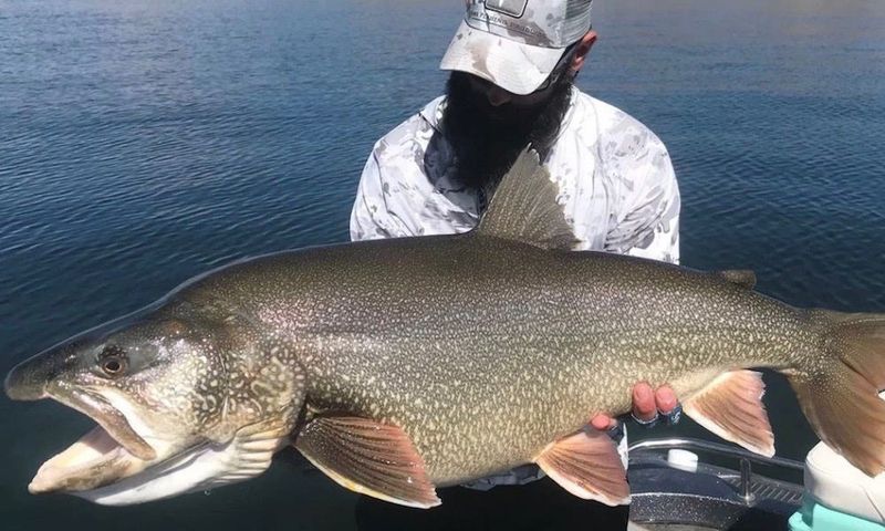 The Flaming Gorge Giant: A 53-Pound Lake Trout