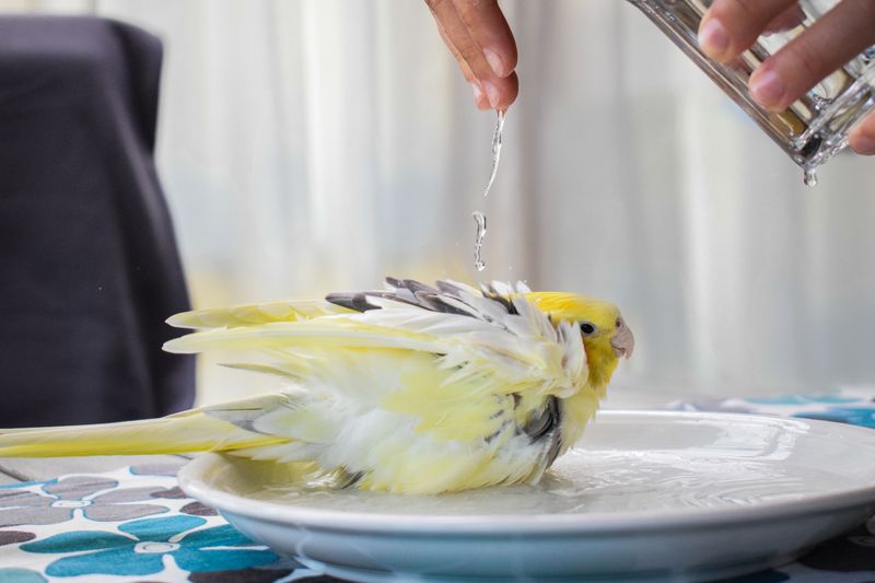 Bath Time Blunders
