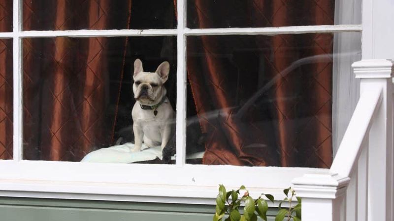 Skipping The Routine Walk