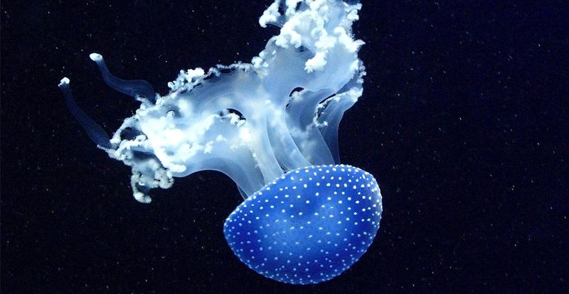 Glowing In The Deep