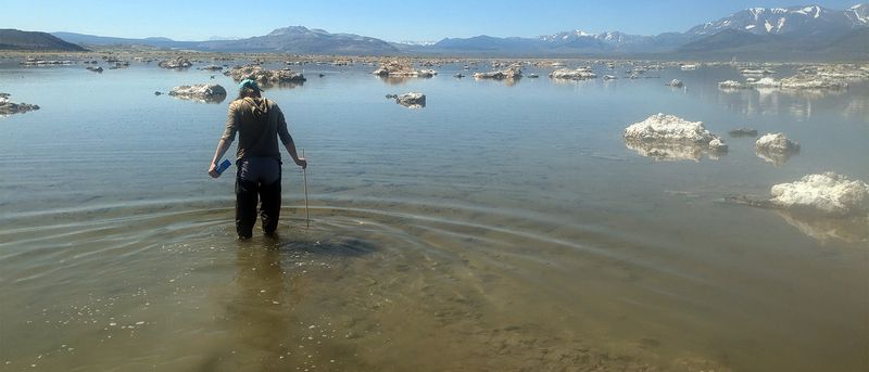 Mono Lake's Unique Ecosystem