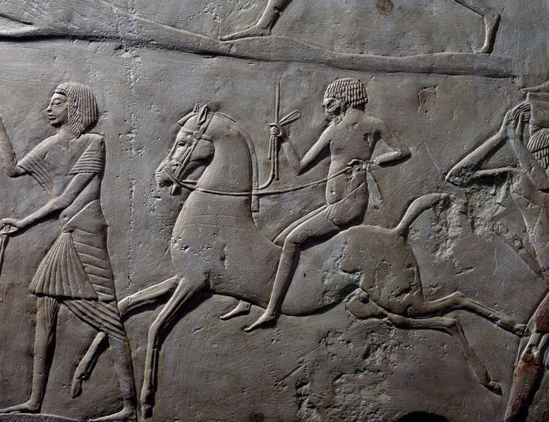 Ancient Partnership With Humans