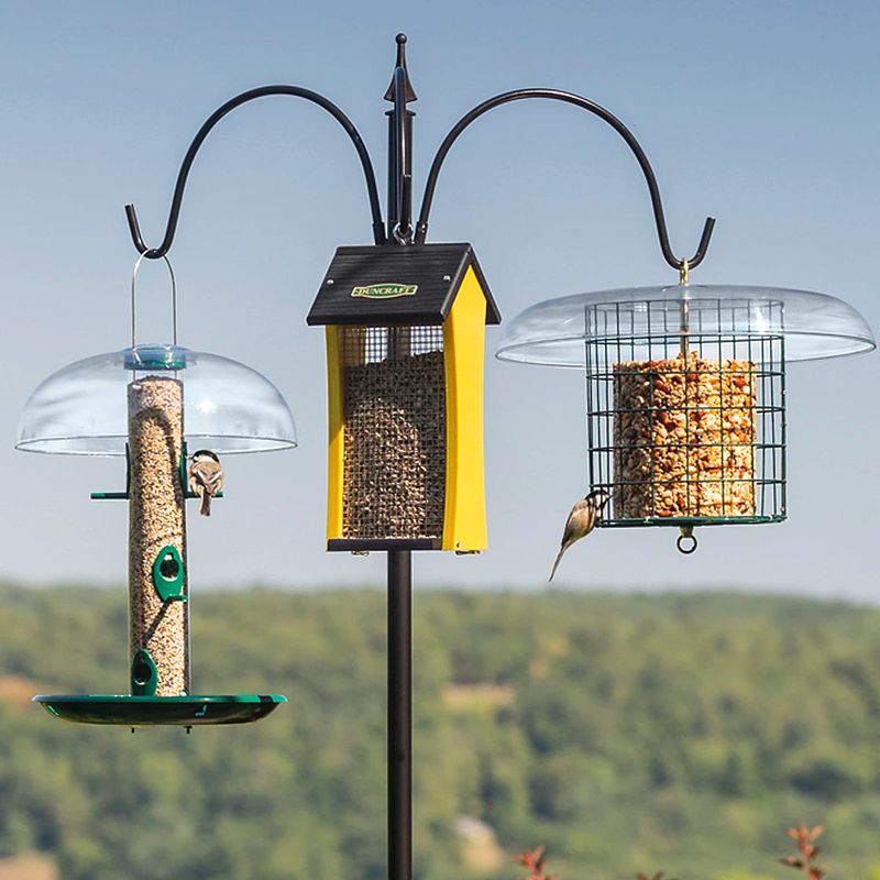 On A Hanging Hook Or Pole To Prevent Squirrel Access