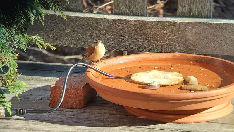 Ignoring Winter Needs