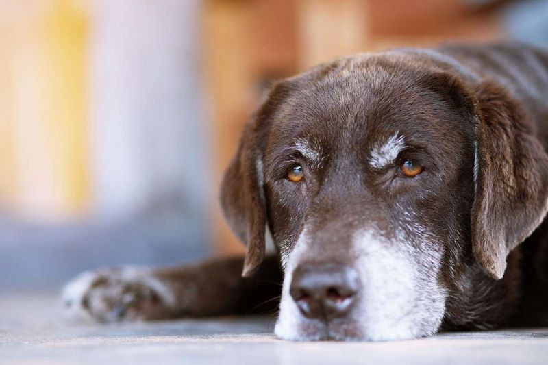 Extreme Fatigue That Never Improves