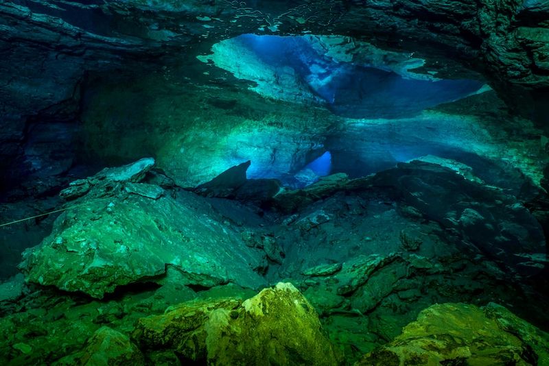 Meet The Elite Divers Behind The Fossil Discoveries