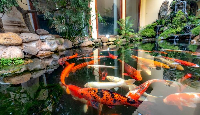 Select Fish Species Wisely