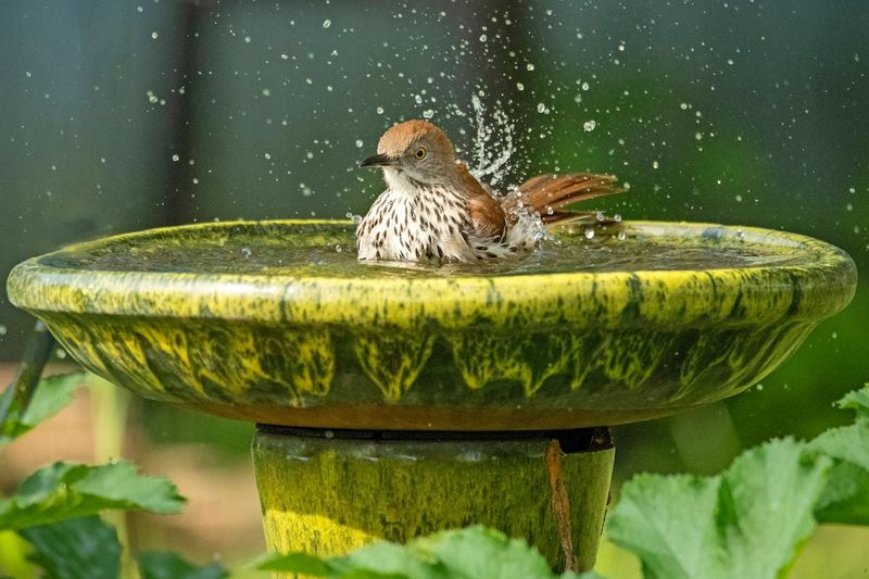 Create Water Sources