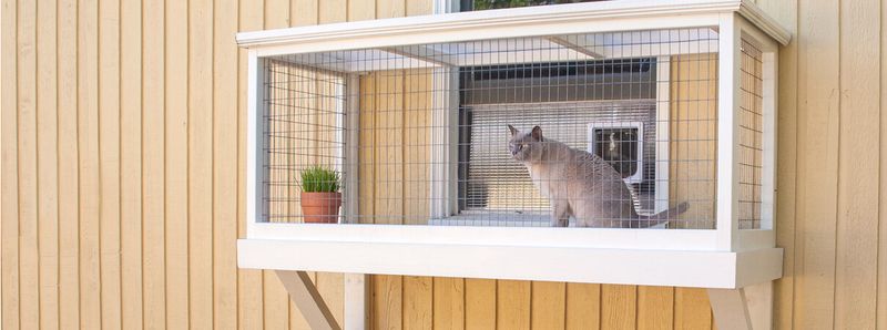 Keep Cats Indoors