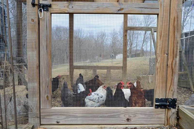 Use Predator-Deterring Scents