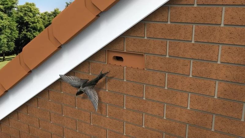 Create Swift Bricks In New Buildings