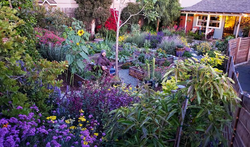 Create Bird-Safe Yards