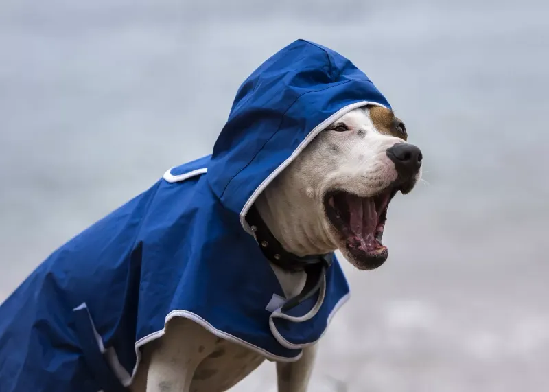 Weather Tolerance Affects Outdoor Activities