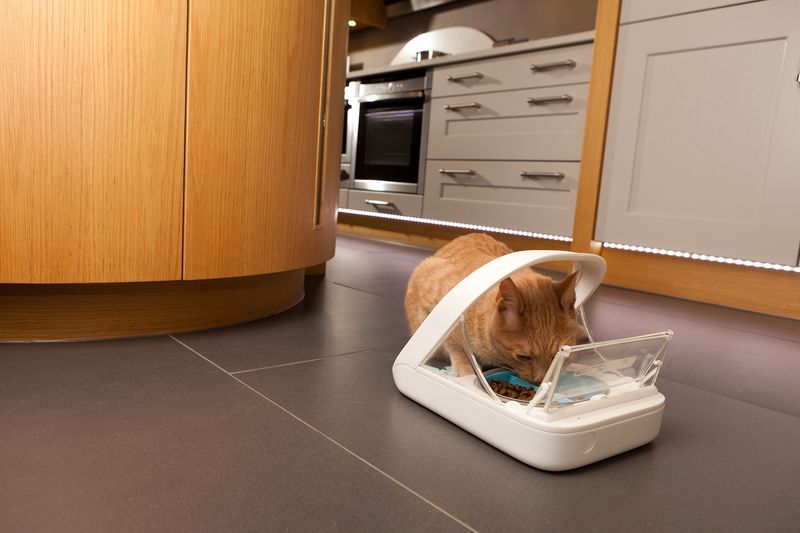 Microchip-Activated Feeder
