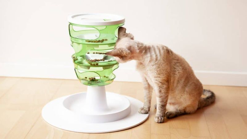 Puzzle Feeders Turn Mealtime Into Playtime