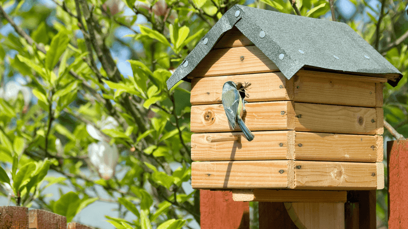 Ventilation Requirements