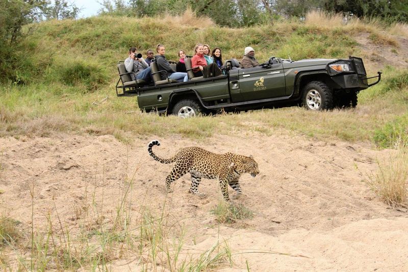 Ecotourism As A Conservation Tool