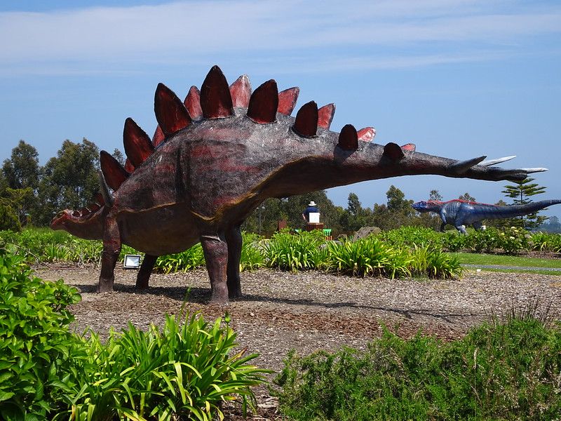 Climate Clues From Associated Plant Fossils