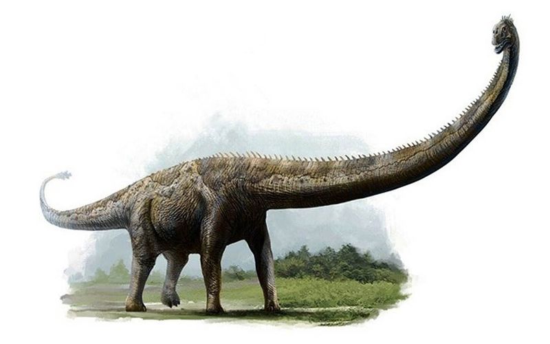 How This Dinosaur Surpassed The T-Rex In Size