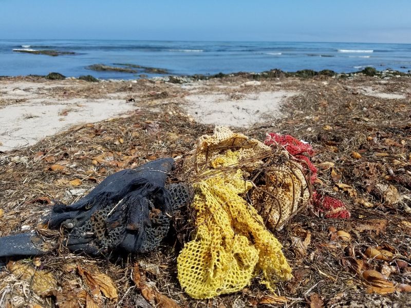 Marine Pollution Threatens Surrounding Waters