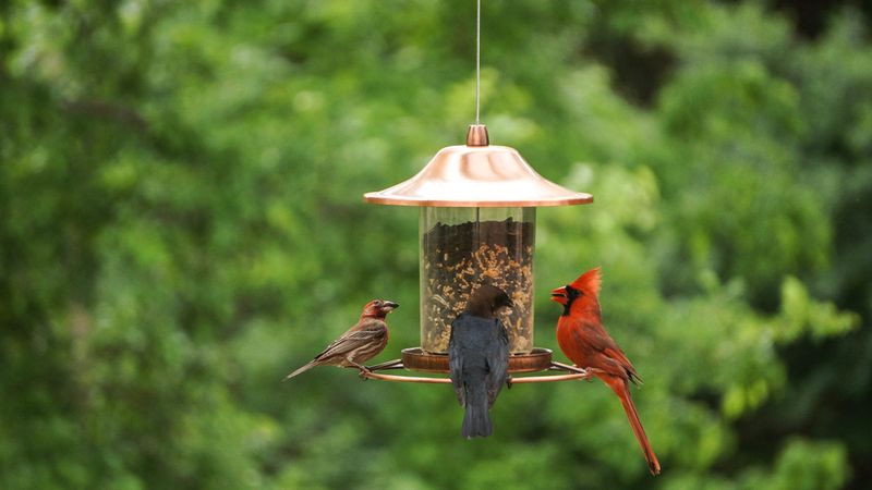 Start In Your Own Backyard