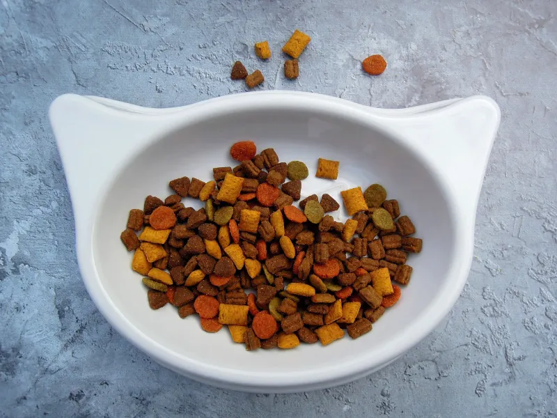 Serve Dental-Friendly Kibble